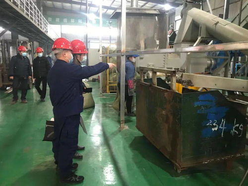 節日中的光學器材